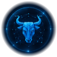 Tauro - Seguridad y Fortaleza Digital